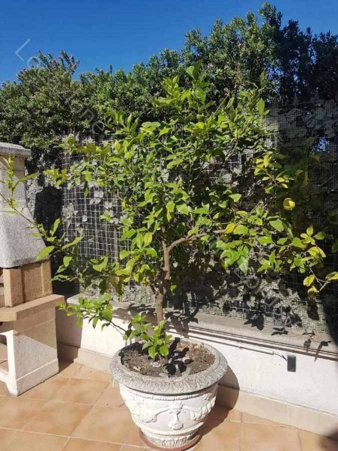 Locazione Turistica Fusillo Lorusso Con Parcheggio Privato In Loco Apartment Барлета Екстериор снимка